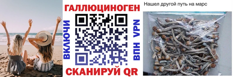 продажа наркотиков Копейск hydra сайт Галлюциногенные грибы MAGIC MUSHROOMS