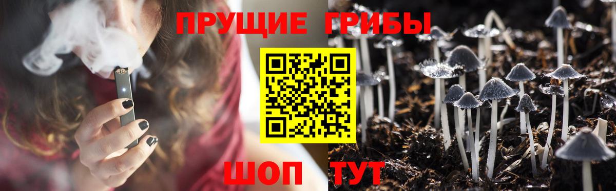 Псилоцибиновые грибы прущие грибы  Вход с VPN  Копейск 