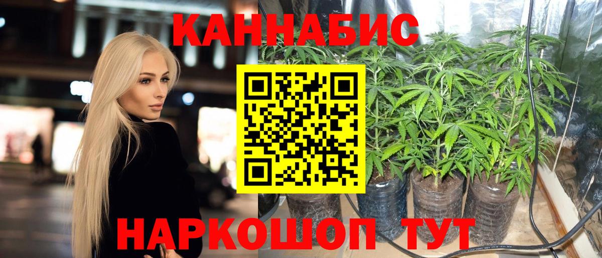 Канабис гибрид  Бошки марихуана OG Kush  Вход с VPN  Бошки Шишки THC 21%  Копейск 